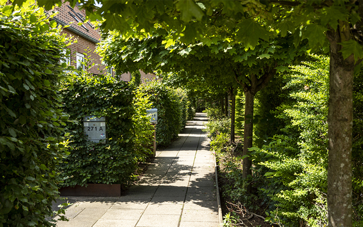 Lundevænge, Gladsaxe Lundevænge, Gladsaxe