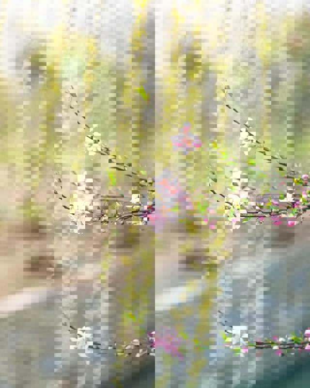 Tømrerentreprisen A/S