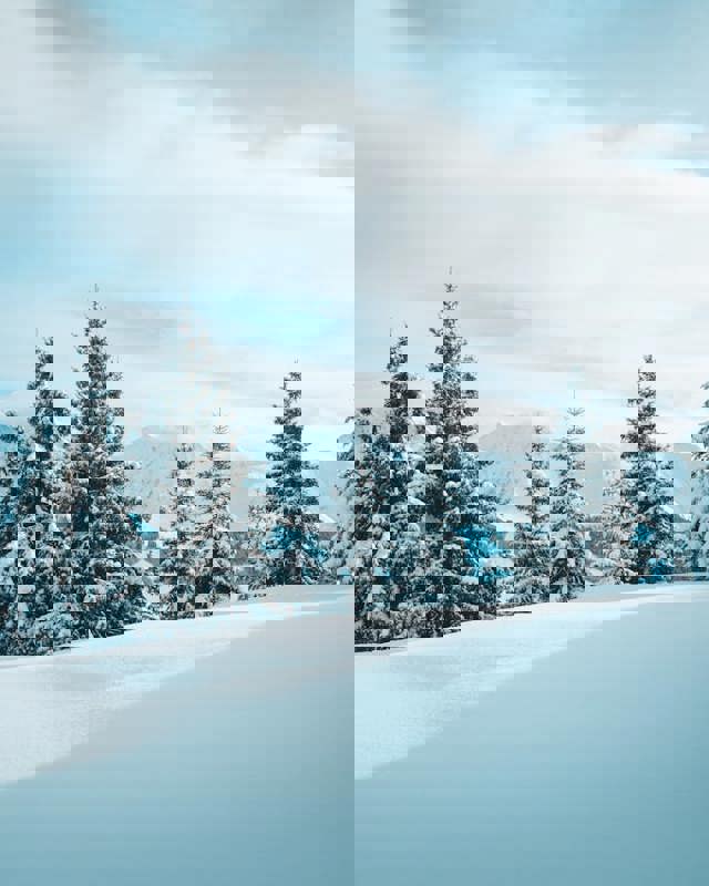 Tømrerentreprisen A/S